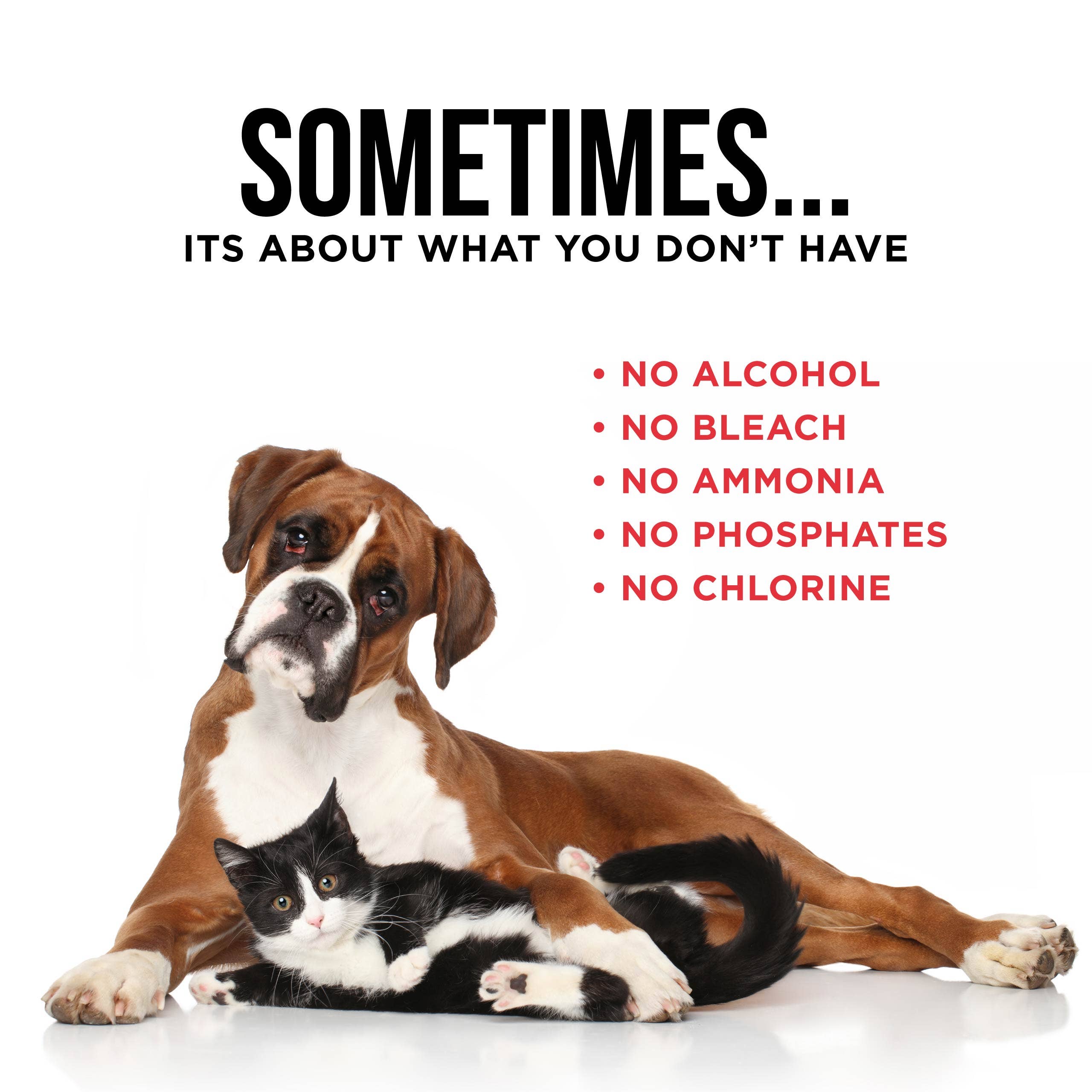 The Only Pet Stain & Odor Remover You Need: 32 ounce